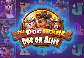 Игра The Dog House Dog Or Alive в Loft казино